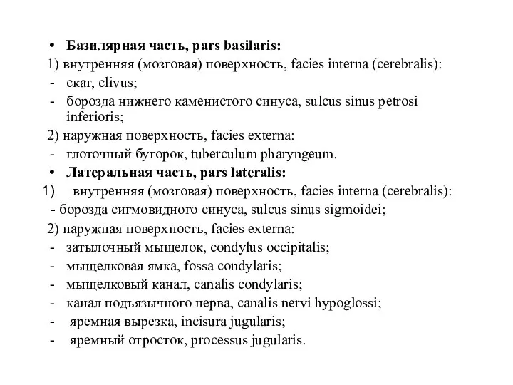 Базилярная часть, pars basilaris: 1) внутренняя (мозговая) поверхность, facies interna (cerebralis): скат,