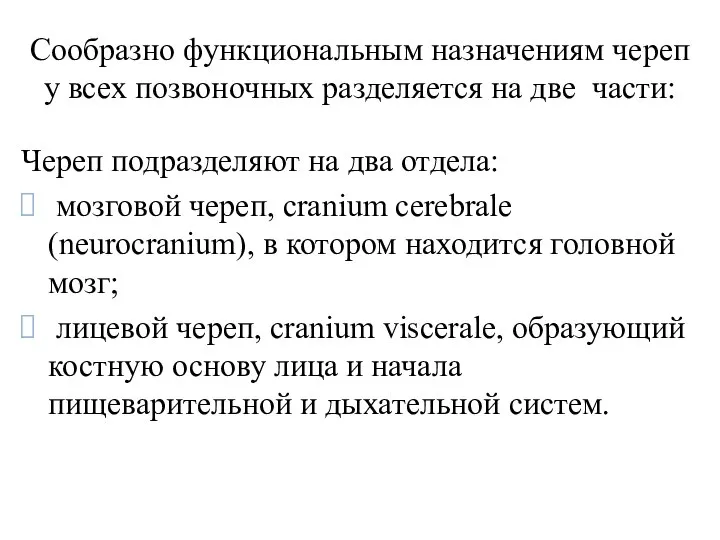 Сообразно функциональным назначениям череп у всех позвоночных разделяется на две части: Череп