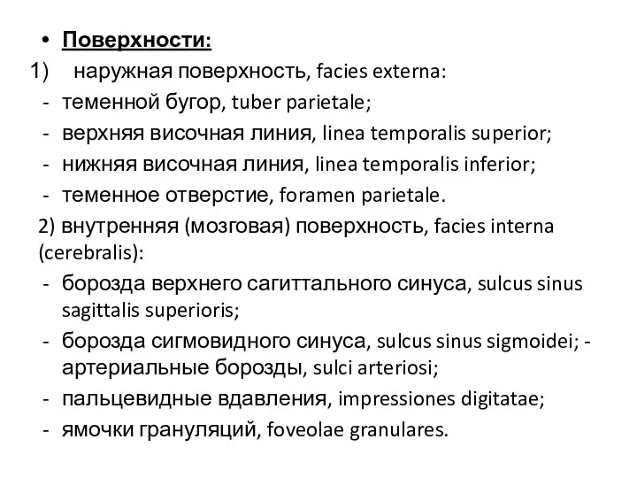 Поверхности: наружная поверхность, facies externa: теменной бугор, tuber parietale; верхняя височная линия,