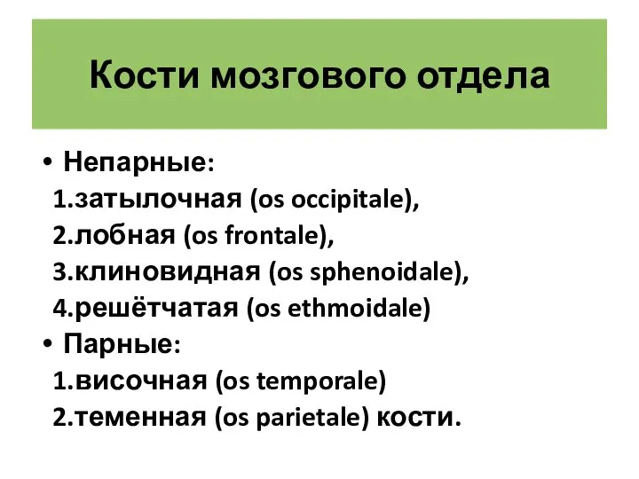 Кости мозгового отдела Непарные: затылочная (os occipitale), лобная (os frontale), клиновидная (os