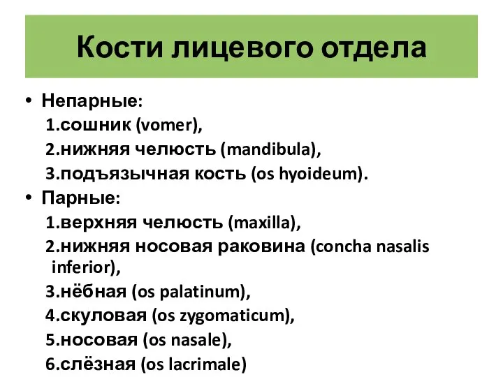 Кости лицевого отдела Непарные: сошник (vomer), нижняя челюсть (mandibula), подъязычная кость (os