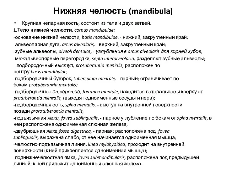 Нижняя челюсть (mandibula) Крупная непарная кость; состоит из тела и двух ветвей.