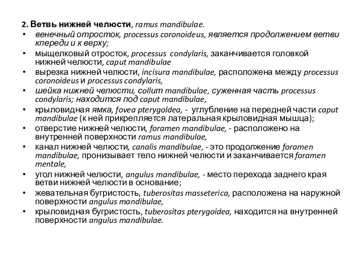 2. Ветвь нижней челюсти, ramus mandibulae. венечный отросток, processus coronoideus, является продолжением