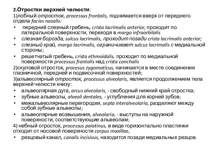 2.Отростки верхней челюсти: 1)лобный отросток, processus frontalis, поднимается вверх от переднего отдела