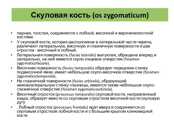 парная, толстая, соединяется с лобной, височной и верхнечелюстной костями. У скуловой кости,