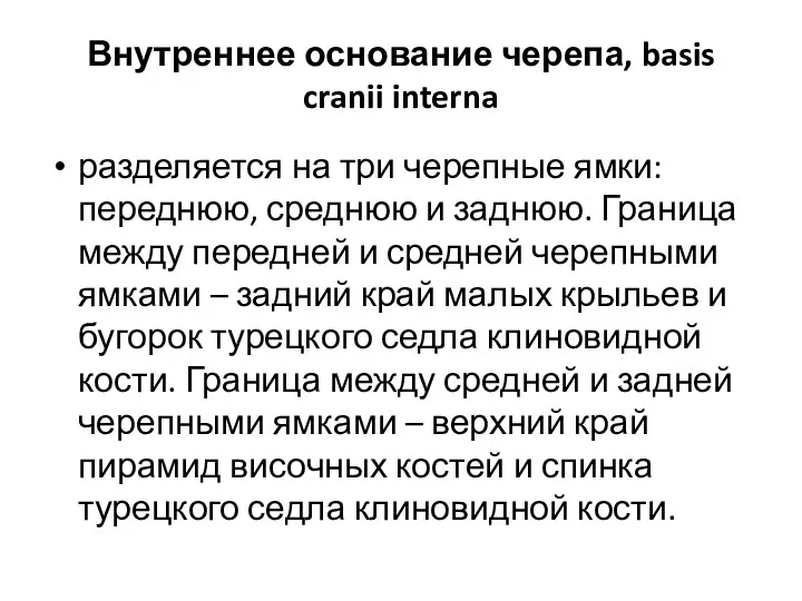 Внутреннее основание черепа, basis cranii interna разделяется на три черепные ямки: переднюю,