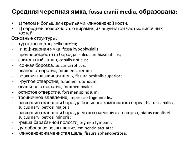 Средняя черепная ямка, fossa cranii media, образована: 1) телом и большими крыльями