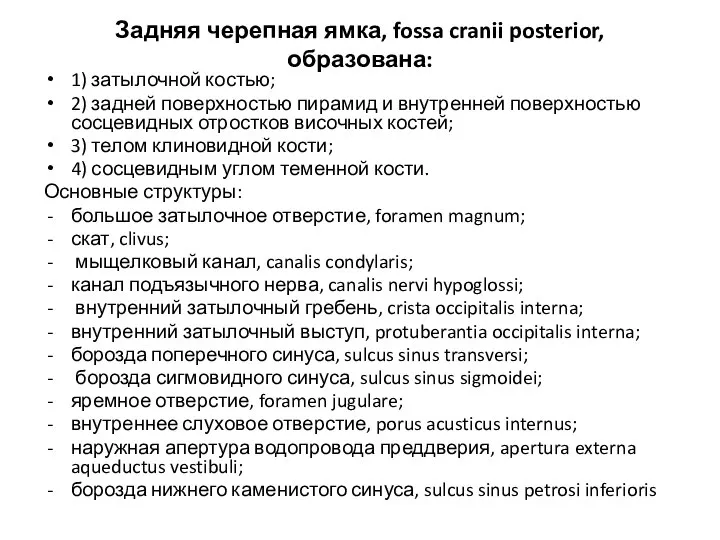 Задняя черепная ямка, fossa cranii posterior, образована: 1) затылочной костью; 2) задней