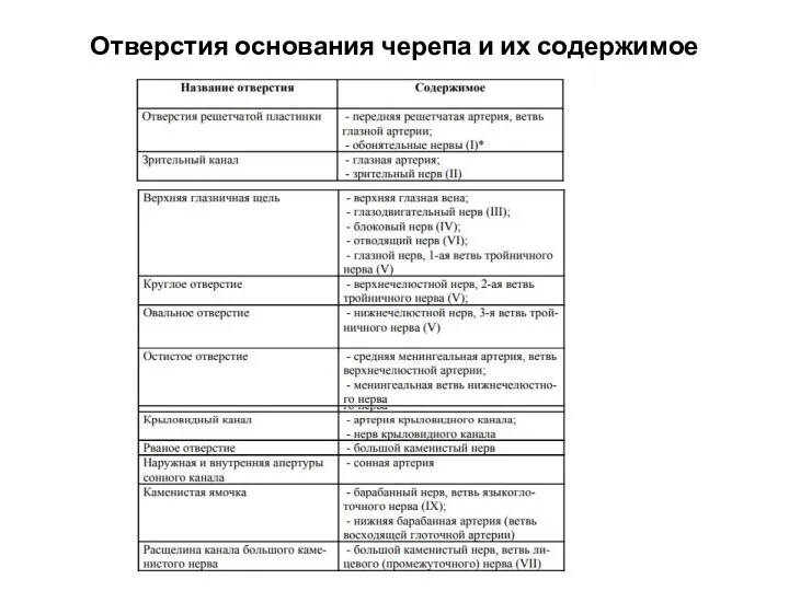 Отверстия основания черепа и их содержимое