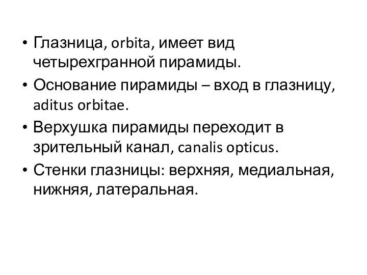 Глазница, orbita, имеет вид четырехгранной пирамиды. Основание пирамиды – вход в глазницу,