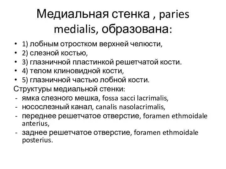 Медиальная стенка , paries medialis, образована: 1) лобным отростком верхней челюсти, 2)