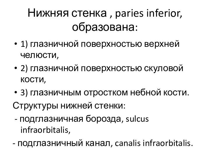 Нижняя стенка , paries inferior, образована: 1) глазничной поверхностью верхней челюсти, 2)