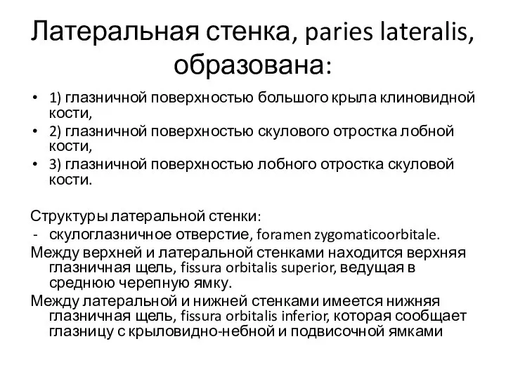 Латеральная стенка, paries lateralis, образована: 1) глазничной поверхностью большого крыла клиновидной кости,