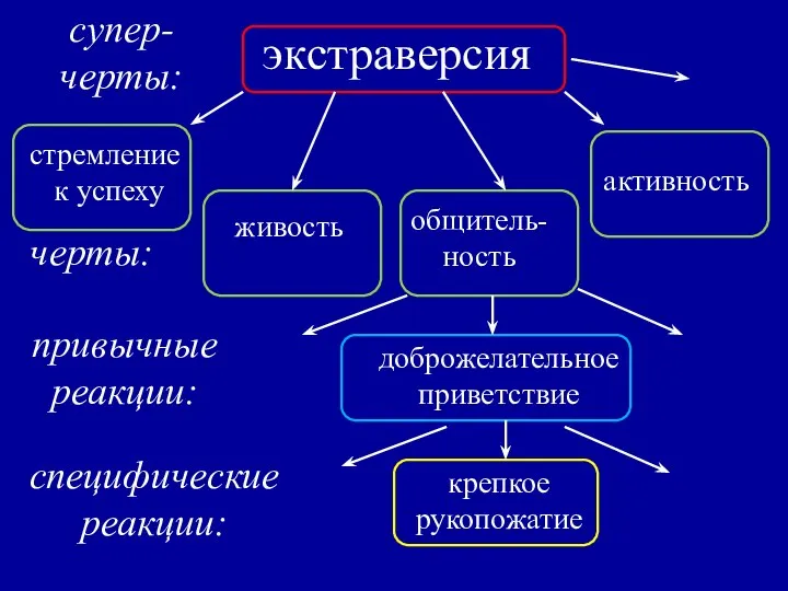 экстраверсия супер- черты: черты: стремление к успеху активность общитель- ность живость доброжелательное