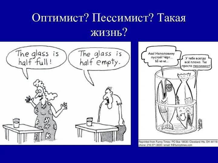 Оптимист? Пессимист? Такая жизнь?