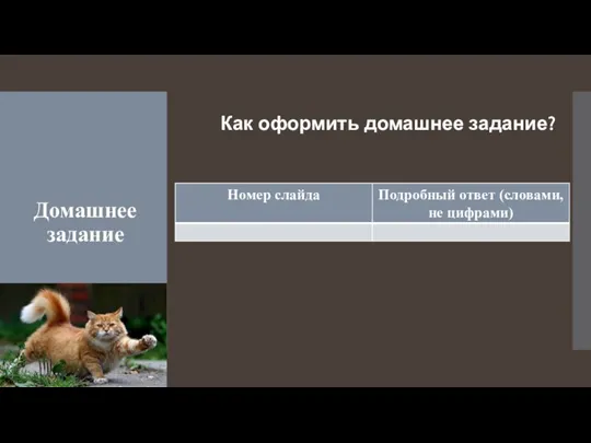 Домашнее задание Как оформить домашнее задание?