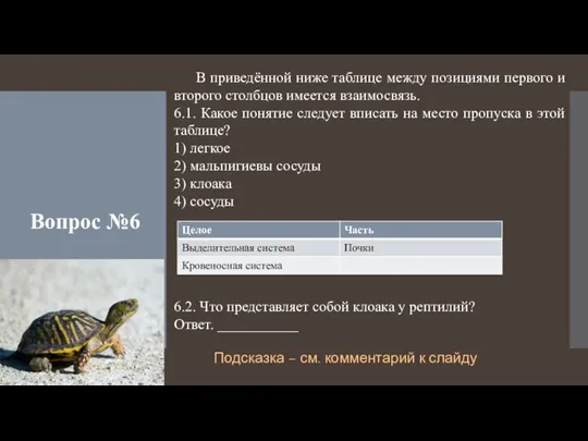 Вопрос №6 В приведённой ниже таблице между позициями первого и второго столбцов