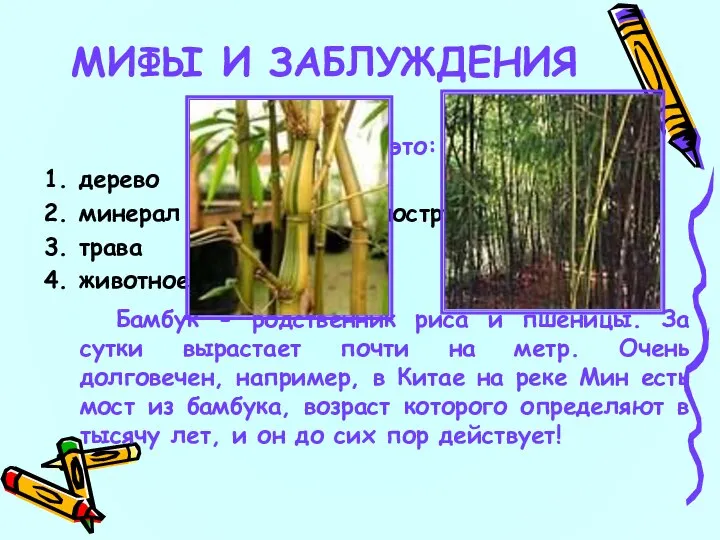 22 Бамбук это: 1. дерево 2. минерал с кольцевой моноструктурой 3. трава