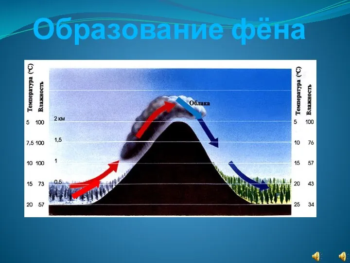 Образование фёна