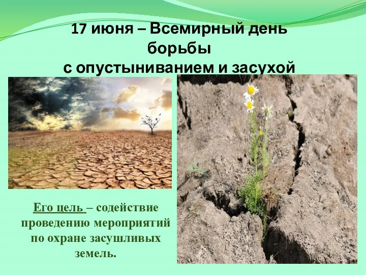 17 июня – Всемирный день борьбы с опустыниванием и засухой Его цель