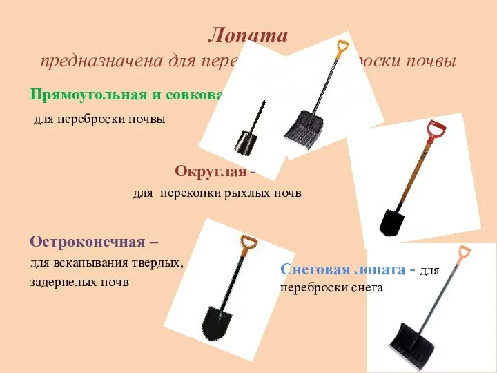 Лопата предназначена для перекопки и переброски почвы Прямоугольная и совковая – для