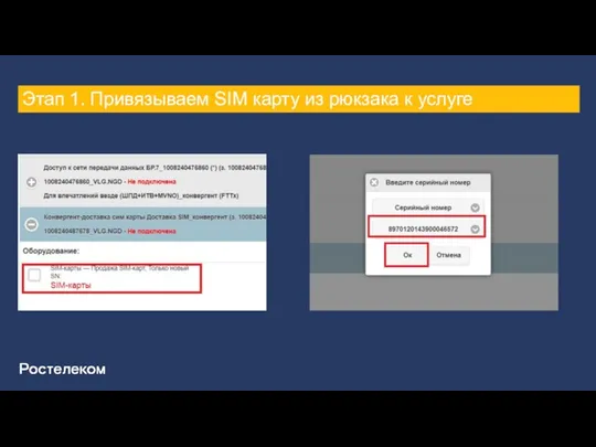 Этап 1. Привязываем SIM карту из рюкзака к услуге