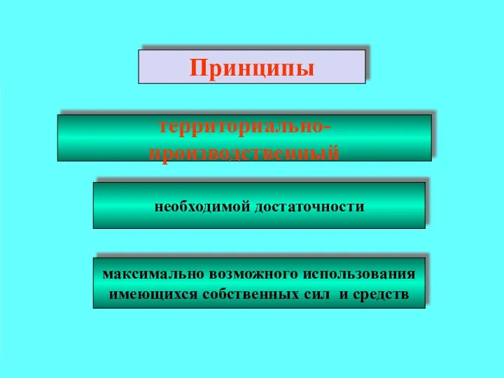 Принципы необходимой достаточности максимально возможного использования имеющихся собственных сил и средств территориально-производственный