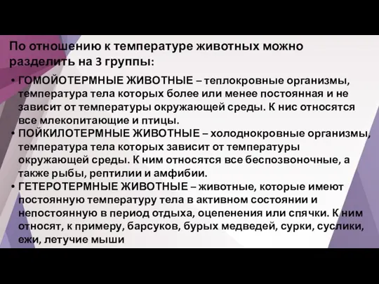 По отношению к температуре животных можно разделить на 3 группы: ГОМОЙОТЕРМНЫЕ ЖИВОТНЫЕ