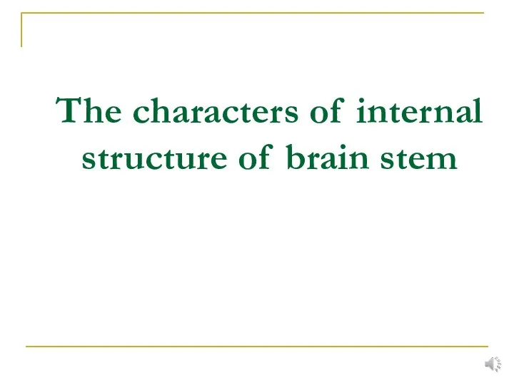The characters of internal structure of brain stem