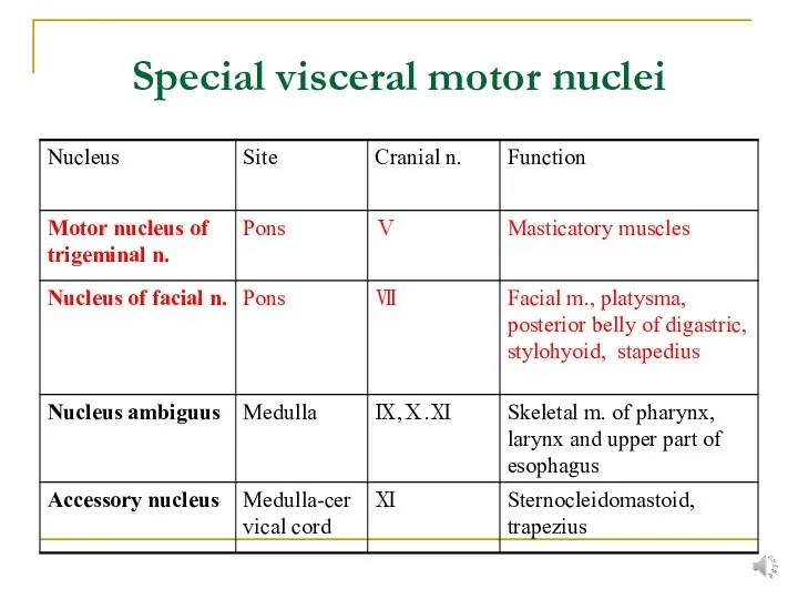 Special visceral motor nuclei