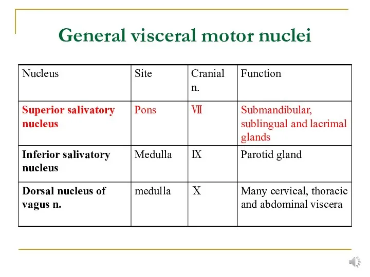 General visceral motor nuclei