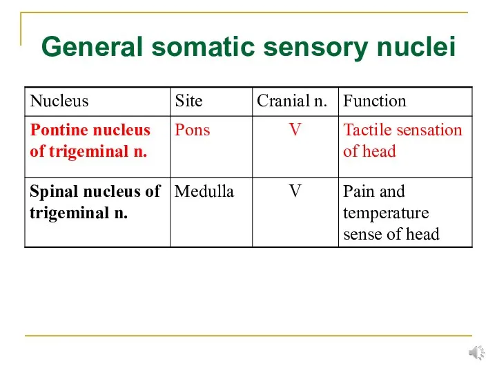 General somatic sensory nuclei