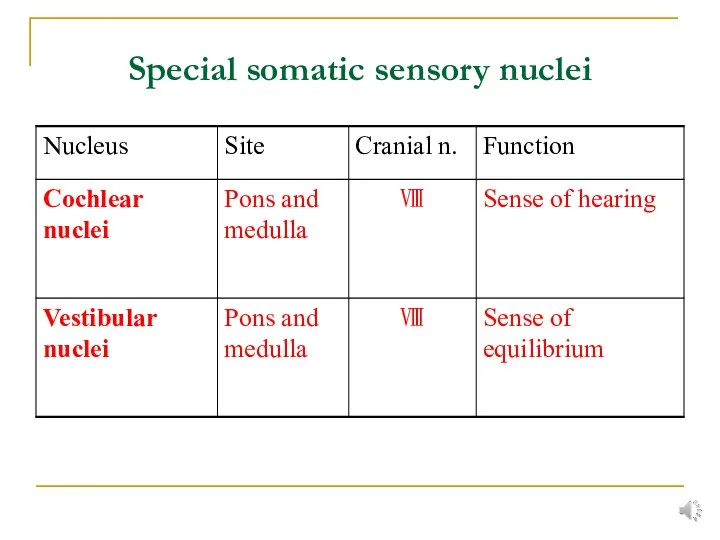 Special somatic sensory nuclei