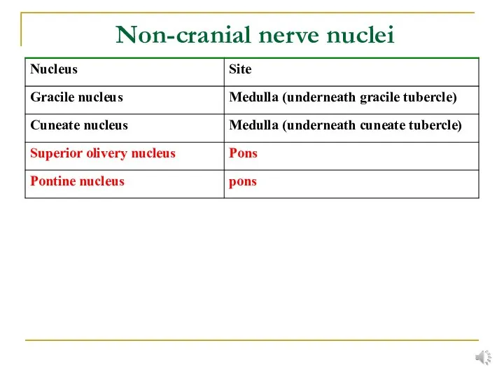 Non-cranial nerve nuclei