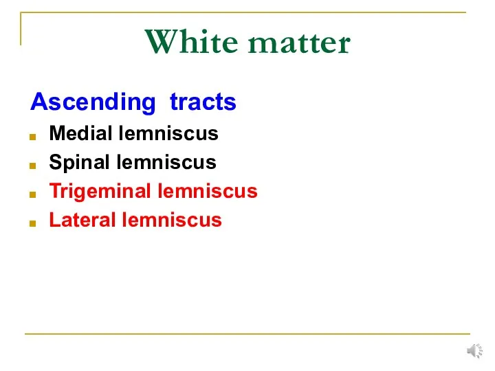 White matter Ascending tracts Medial lemniscus Spinal lemniscus Trigeminal lemniscus Lateral lemniscus