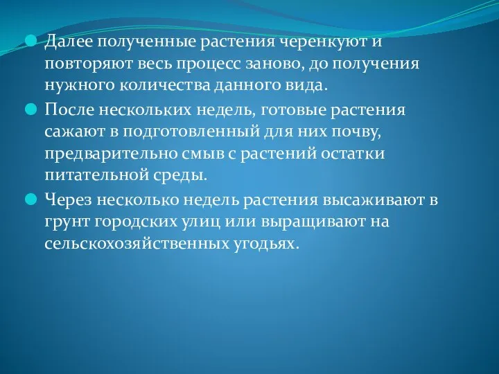 Далее полученные растения черенкуют и повторяют весь процесс заново, до получения нужного