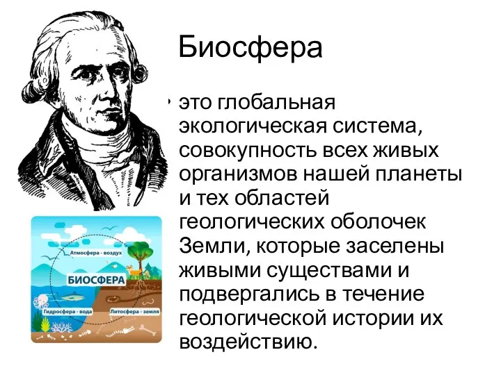 Биосфера это глобальная экологическая система, совокупность всех живых организмов нашей планеты и