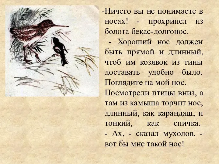 Ничего вы не понимаете в носах! - прохрипел из болота бекас-долгонос. -