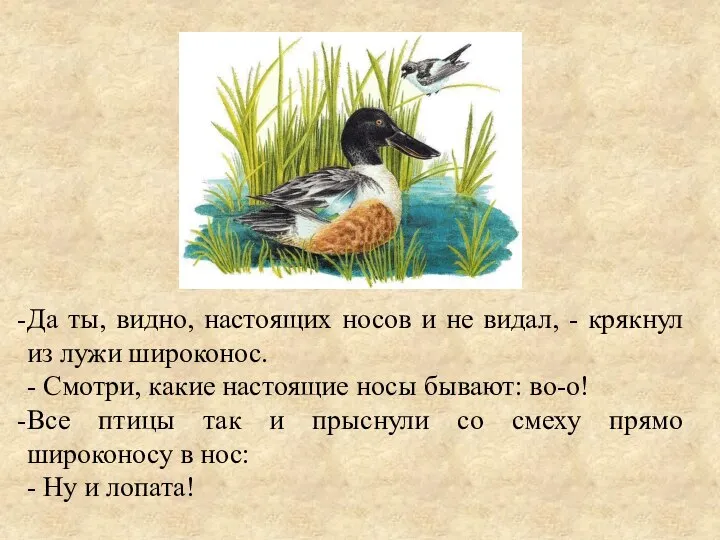 Да ты, видно, настоящих носов и не видал, - крякнул из лужи