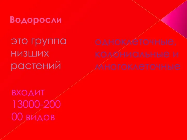 Водоросли это группа низших растений одноклеточные, колониальные и многоклеточные входит 13000-20000 видов