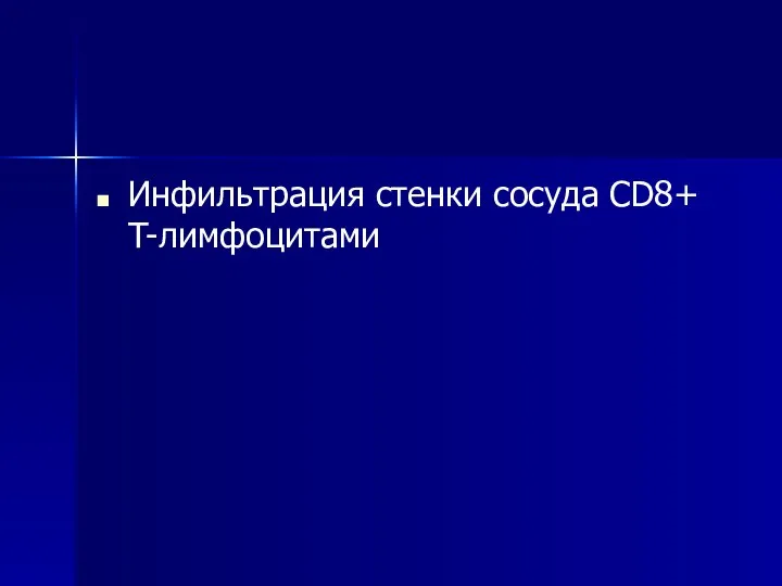 Инфильтрация стенки сосуда CD8+ T-лимфоцитами