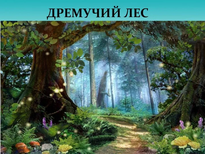 ДРЕМУЧИЙ ЛЕС