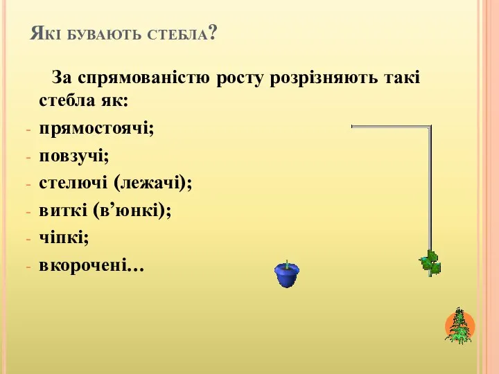 Які бувають стебла? За спрямованістю росту розрізняють такі стебла як: прямостоячі; повзучі;