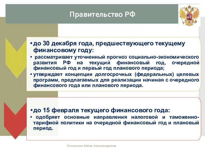 Правительство РФ Полянская Алёна Александровна