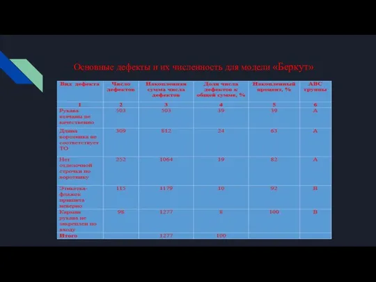 Основные дефекты и их численность для модели «Беркут»