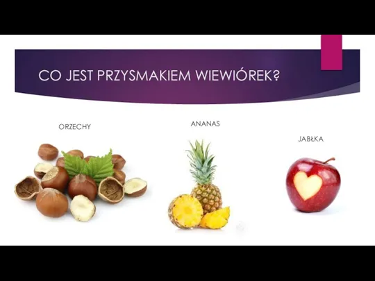 CO JEST PRZYSMAKIEM WIEWIÓREK? ORZECHY ANANAS JABŁKA