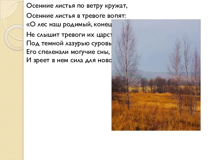 Осенние листья по ветру кружат, Осенние листья в тревоге вопят: «О лес