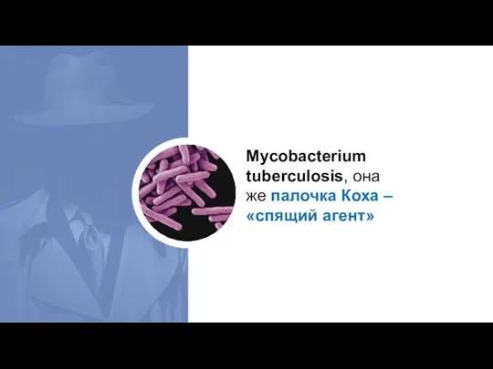 Mycobacterium tuberculosis, она же палочка Коха – «спящий агент»