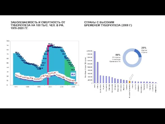 СТРАНЫ С ВЫСОКИМ БРЕМЕНЕМ ТУБЕРКУЛЕЗА (2008 Г.) ЗАБОЛЕВАЕМОСТЬ И СМЕРТНОСТЬ ОТ ТУБЕРКУЛЕЗА