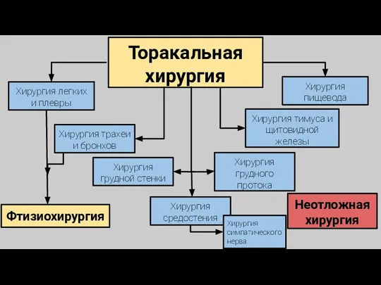 Торакальная хирургия Неотложная хирургия Хирургия трахеи и бронхов Хирургия легких и плевры